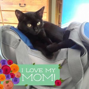 Meet your Posher, Kristin